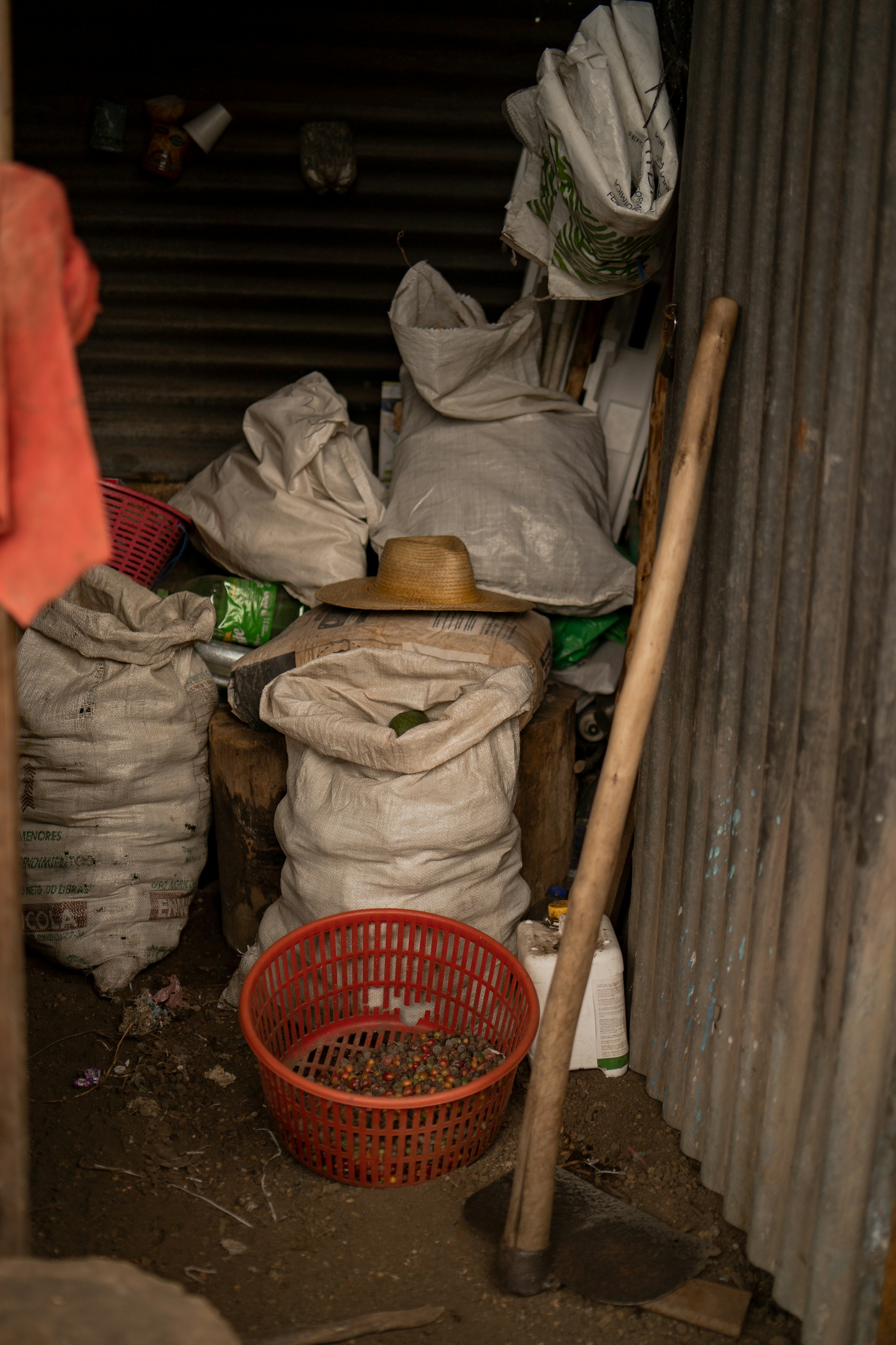 Economic Justice Logo